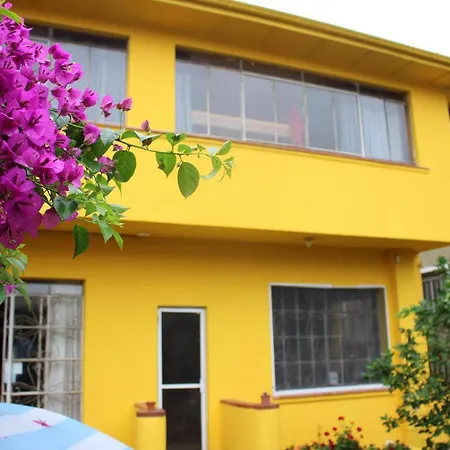 Motter Home Curitiba Hostel-2